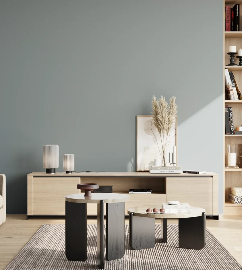P10_SNIEZKA_salon_02_poludnie_GREY_S3010-B10G