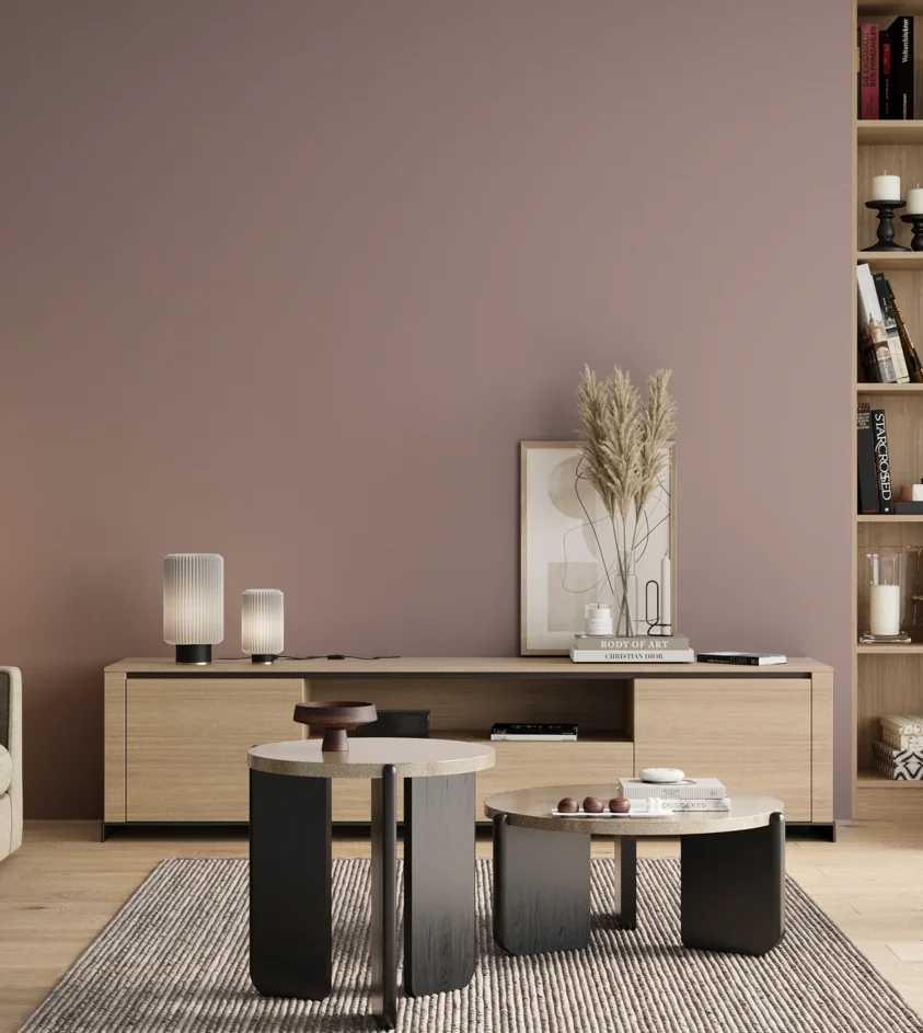 P10_SNIEZKA_salon_00_neutral_GREY_S3010-R10B