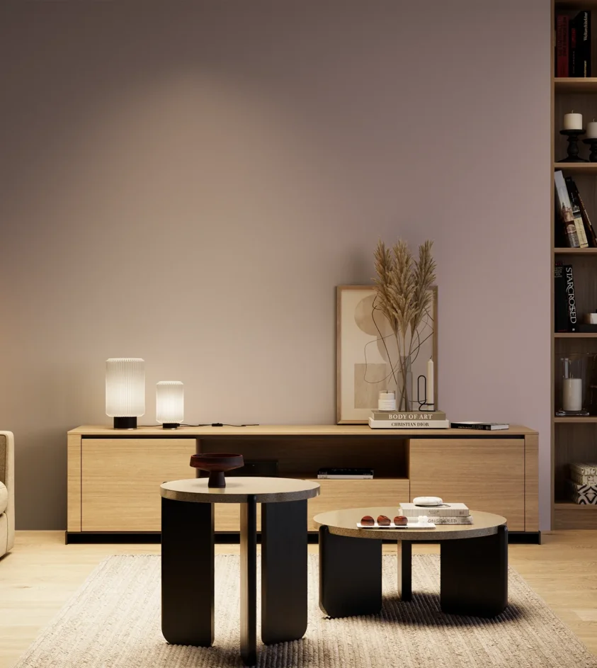 P10_SNIEZKA_salon_04_cieple_GREY_S3010-R30B