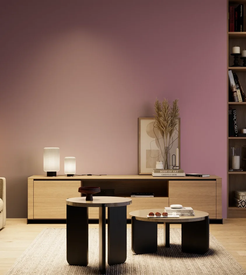 P10_SNIEZKA_salon_04_cieple_GREY_S3030-R30B