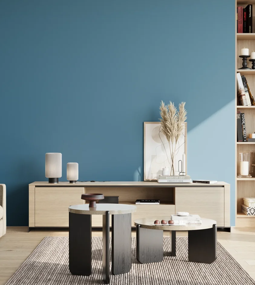 P10_SNIEZKA_salon_02_poludnie_GREY_S3040-B