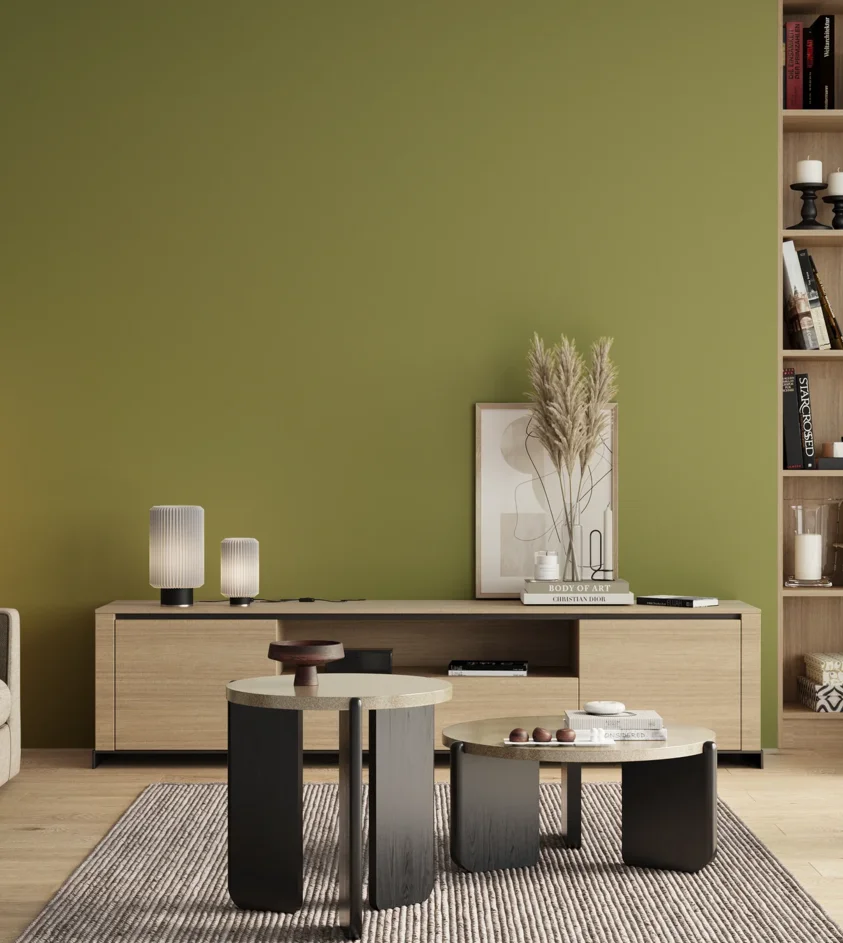 P10_SNIEZKA_salon_00_neutral_GREY_S3040-G60Y