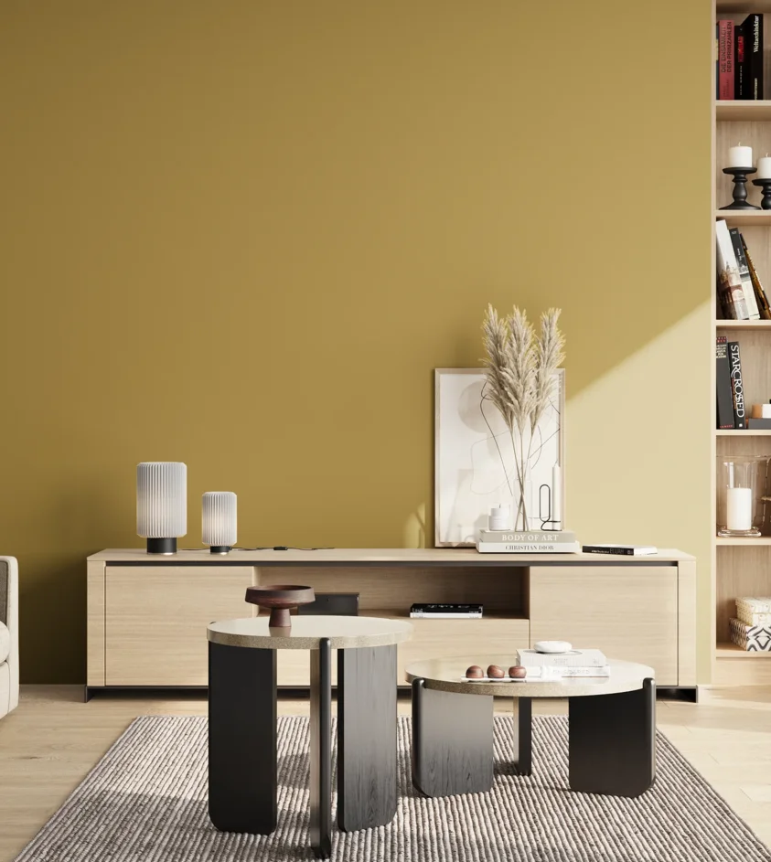 P10_SNIEZKA_salon_02_poludnie_GREY_S3040-Y