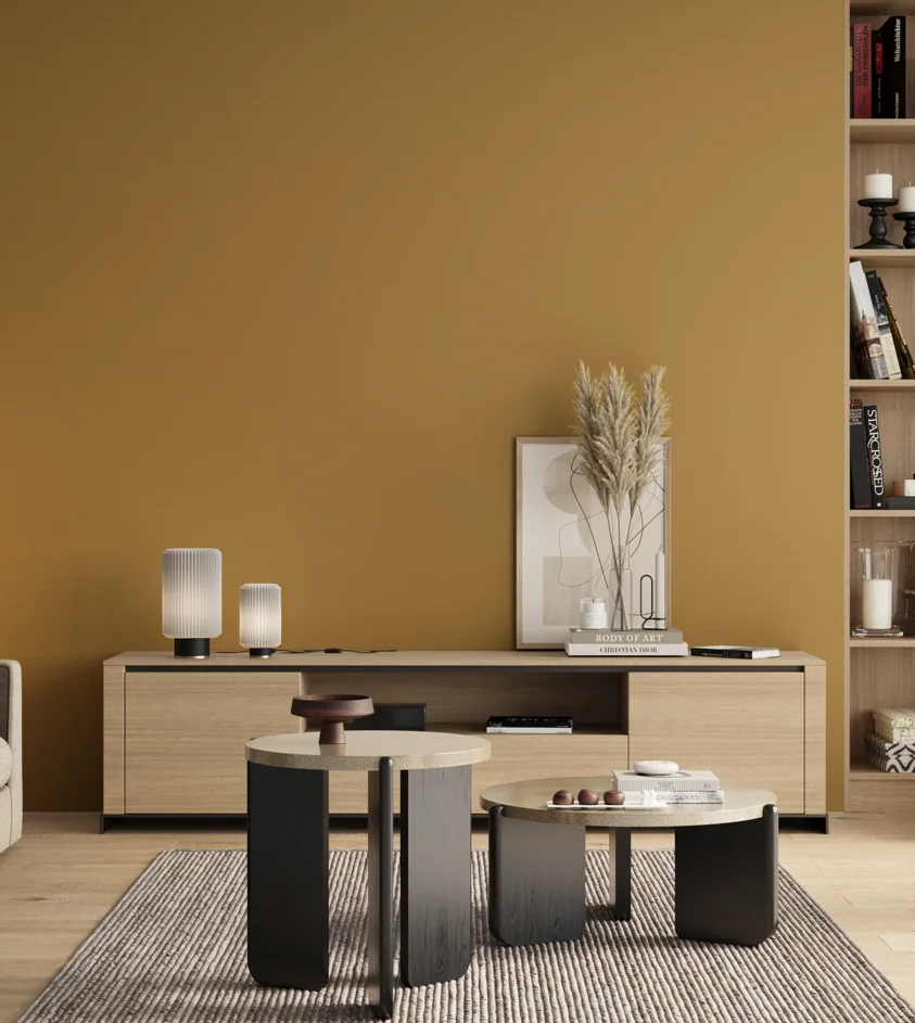 P10_SNIEZKA_salon_00_neutral_GREY_S3040-Y10R