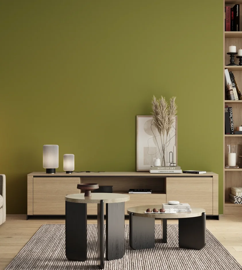 P10_SNIEZKA_salon_00_neutral_GREY_S3050-G60Y