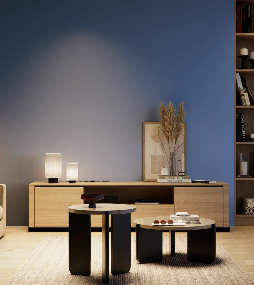 P10_SNIEZKA_salon_04_cieple_GREY_S3050-R80B