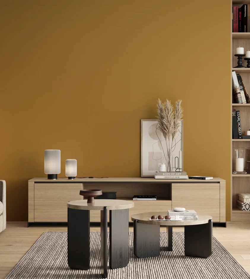 P10_SNIEZKA_salon_00_neutral_GREY_S3050-Y10R