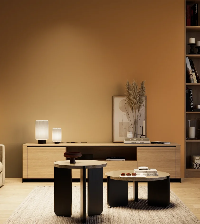 P10_SNIEZKA_salon_04_cieple_GREY_S3050-Y30R