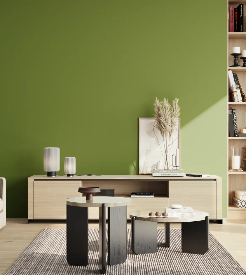 P10_SNIEZKA_salon_02_poludnie_GREY_S3060-G40Y