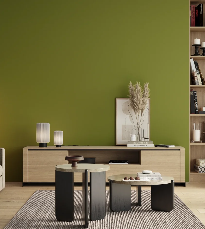 P10_SNIEZKA_salon_00_neutral_GREY_S3060-G50Y