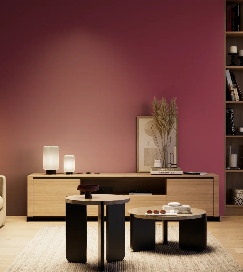 P10_SNIEZKA_salon_04_cieple_GREY_S3060-R20B