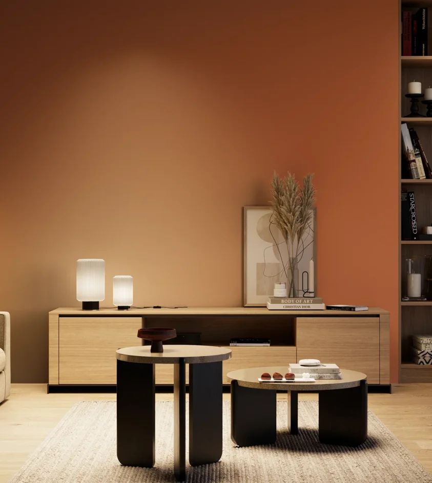 P10_SNIEZKA_salon_04_cieple_GREY_S3060-Y60R