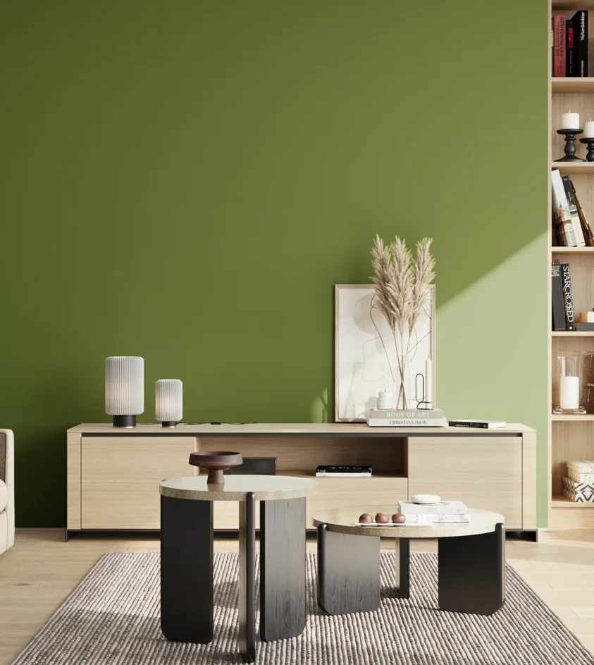 P10_SNIEZKA_salon_02_poludnie_GREY_S3560-G40Y