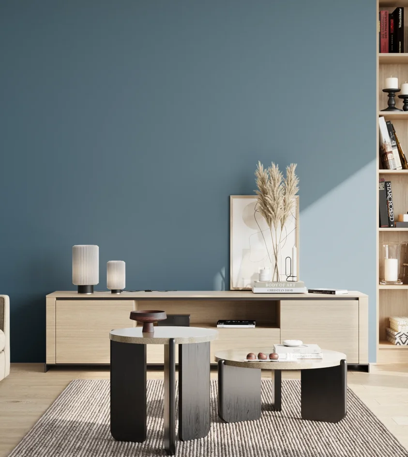 P10_SNIEZKA_salon_02_poludnie_GREY_S4030-B