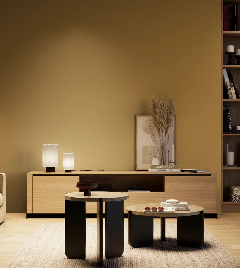 P10_SNIEZKA_salon_04_cieple_GREY_S4040-Y10R