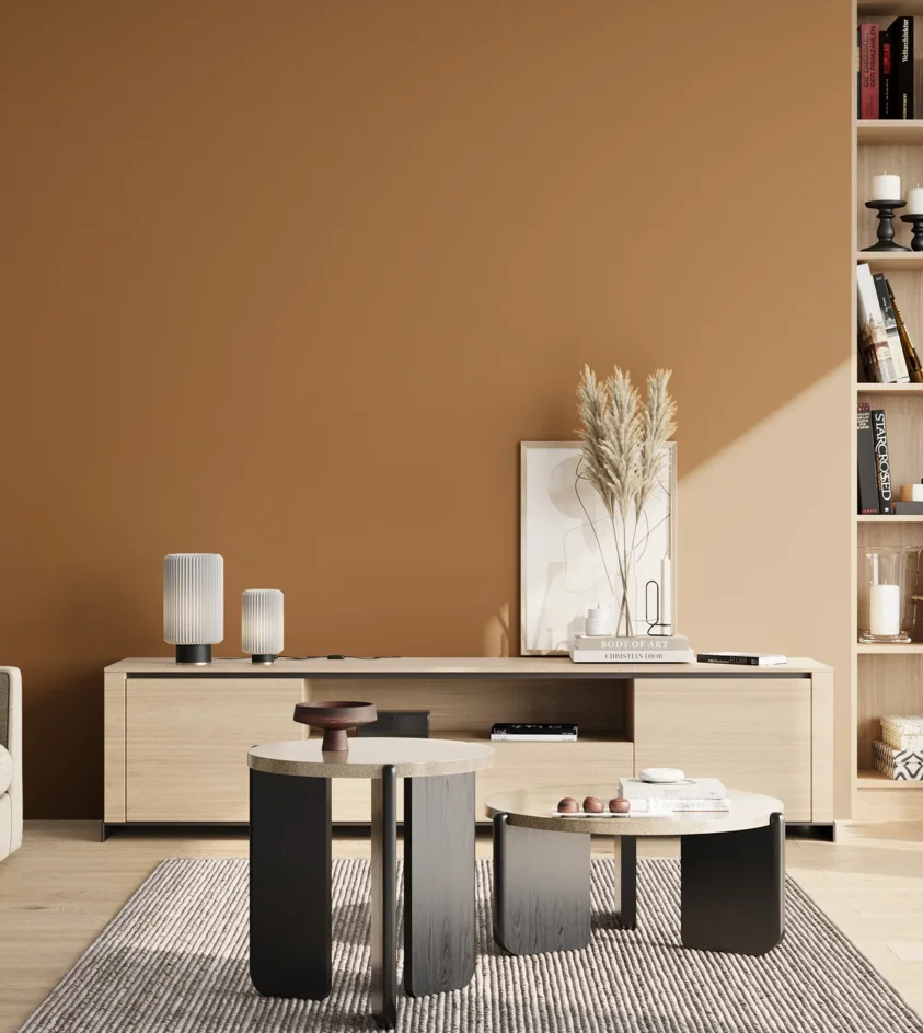 P10_SNIEZKA_salon_02_poludnie_GREY_S4040-Y30R