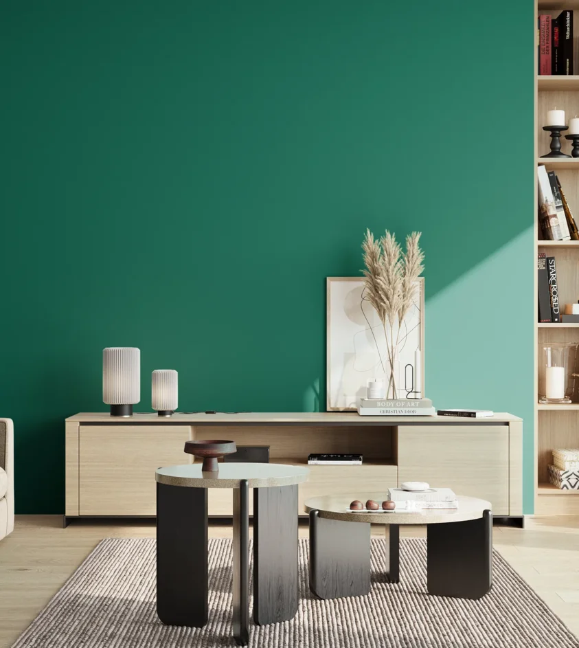 P10_SNIEZKA_salon_02_poludnie_GREY_S4050-B80G