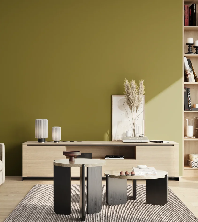 P10_SNIEZKA_salon_02_poludnie_GREY_S4050-G80Y
