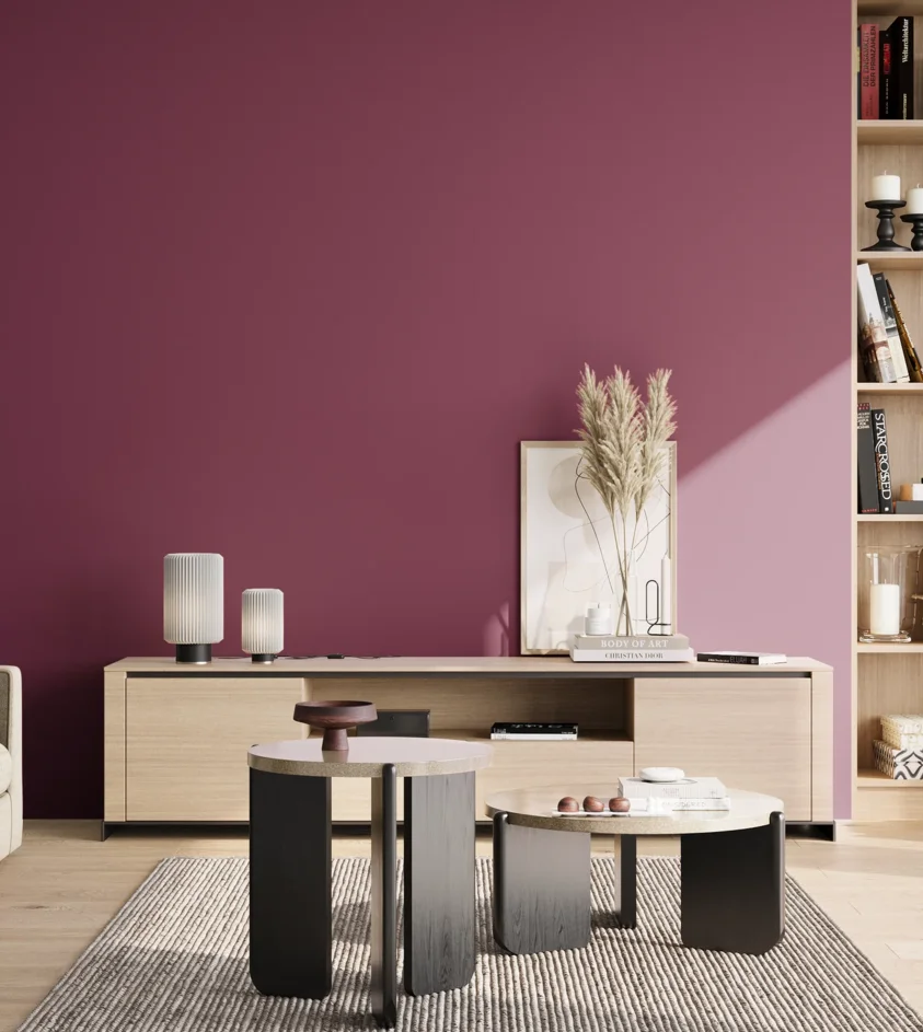 P10_SNIEZKA_salon_02_poludnie_GREY_S4050-R30B