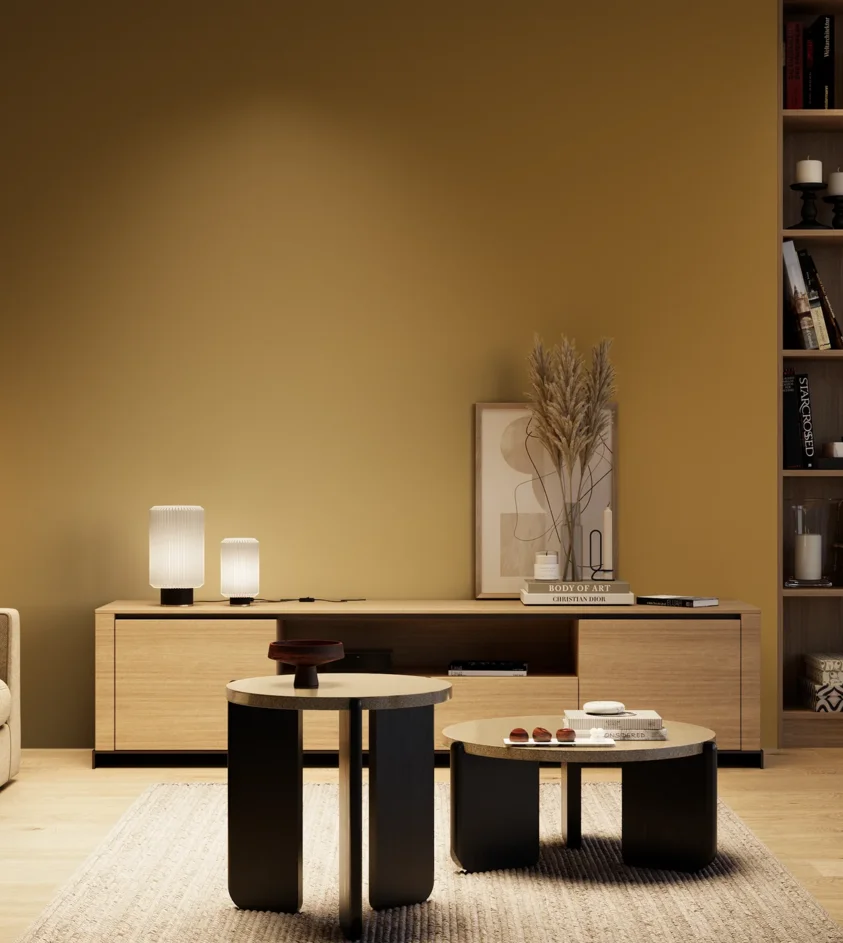 P10_SNIEZKA_salon_04_cieple_GREY_S4050-Y10R
