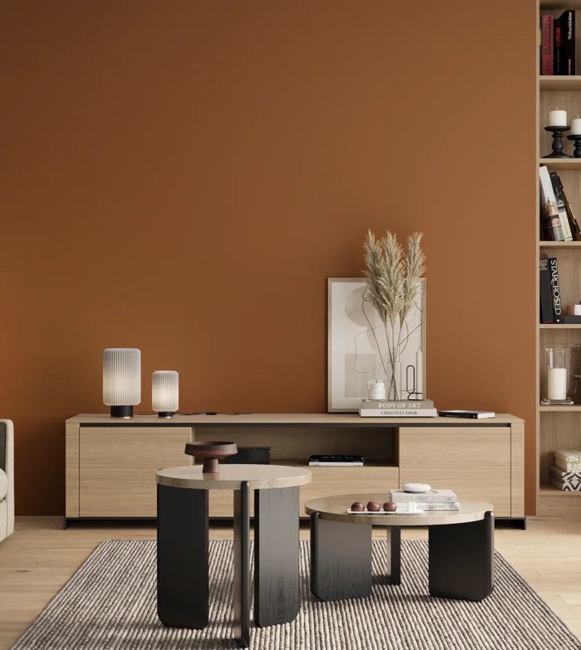 P10_SNIEZKA_salon_00_neutral_GREY_S4050-Y40R
