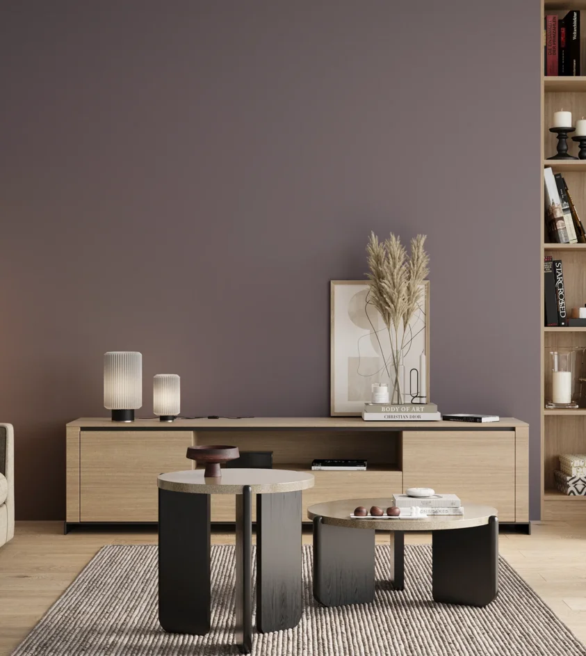 P10_SNIEZKA_salon_00_neutral_GREY_S5010-R50B