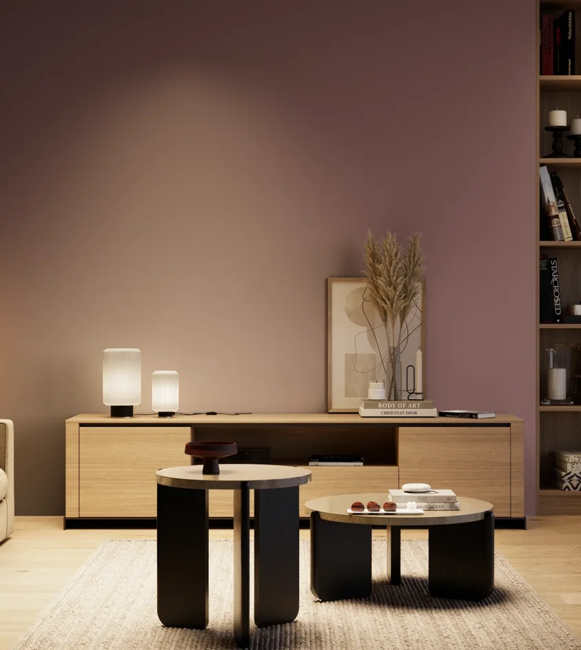 P10_SNIEZKA_salon_04_cieple_GREY_S5020-R20B