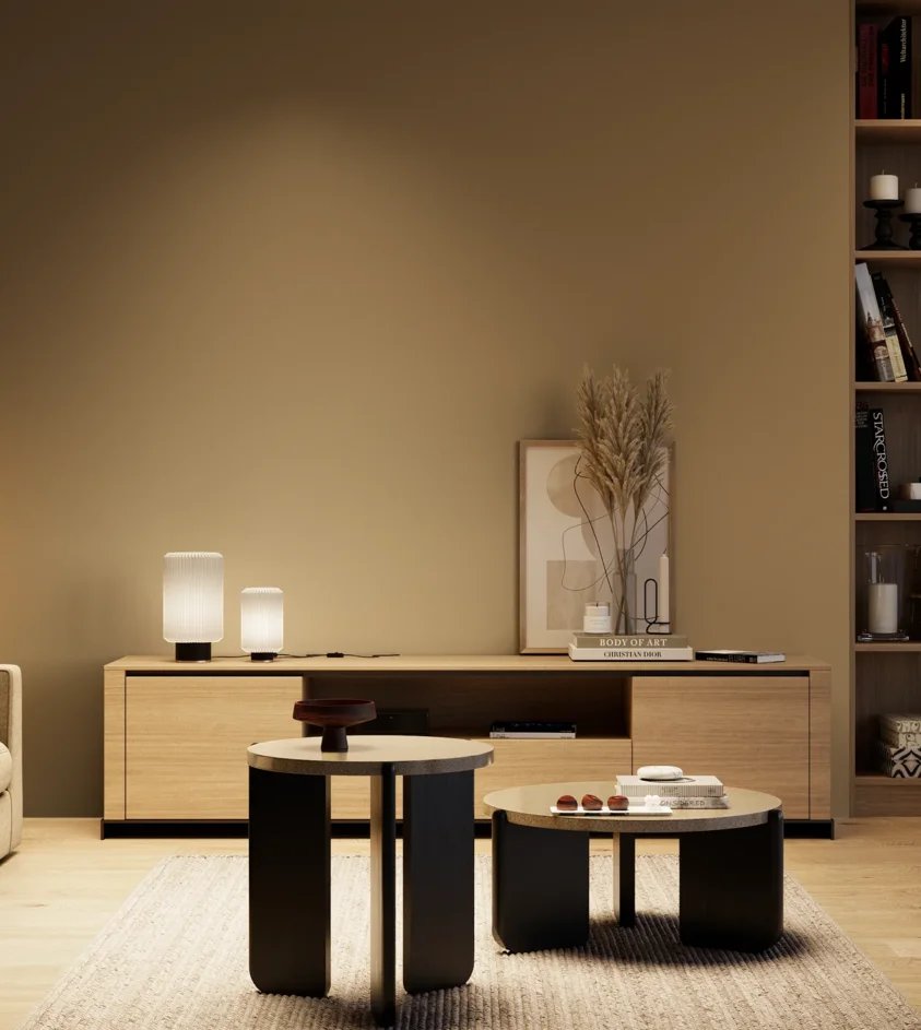 P10_SNIEZKA_salon_04_cieple_GREY_S5020-Y20R