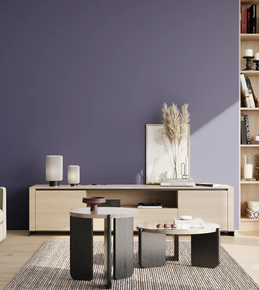 P10_SNIEZKA_salon_02_poludnie_GREY_S5030-R70B