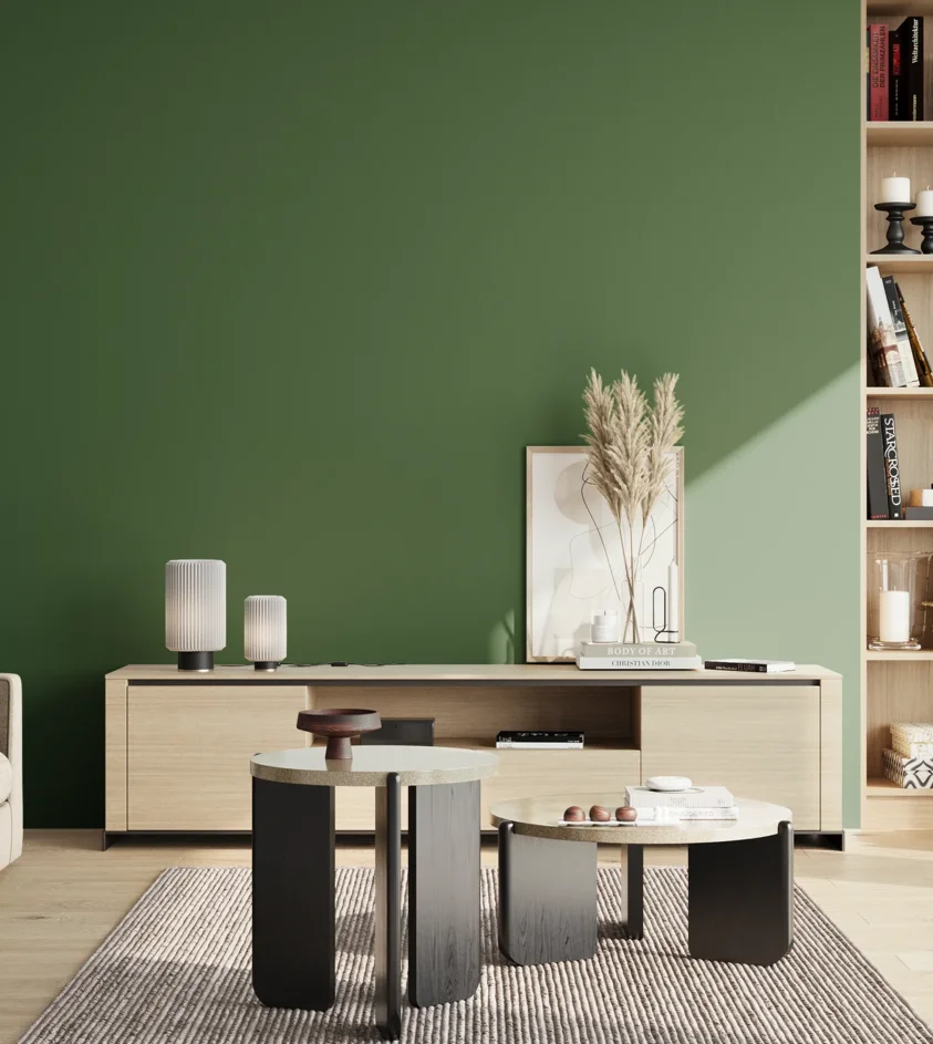 P10_SNIEZKA_salon_02_poludnie_GREY_S5040-G20Y