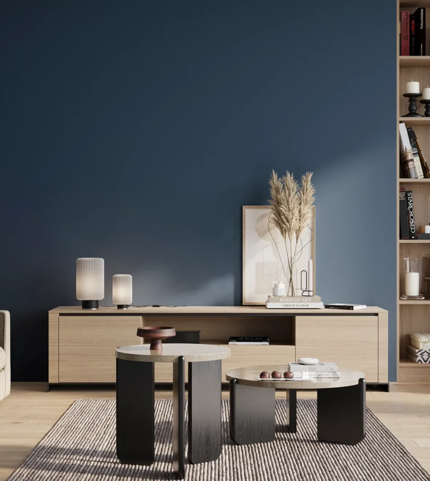 P10_SNIEZKA_salon_01_poranek_GREY_S5540-R90B