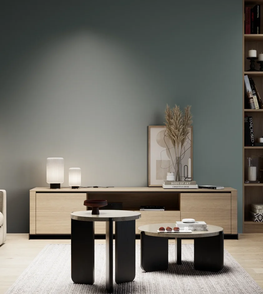 P10_SNIEZKA_salon_05_zimne_GREY_S6010-B50G
