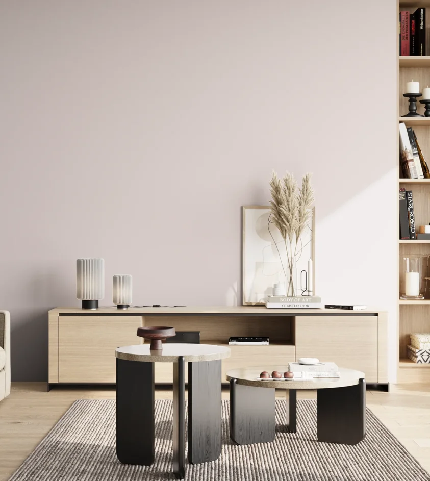 P10_SNIEZKA_salon_02_poludnie_GREY_S0505-R20B
