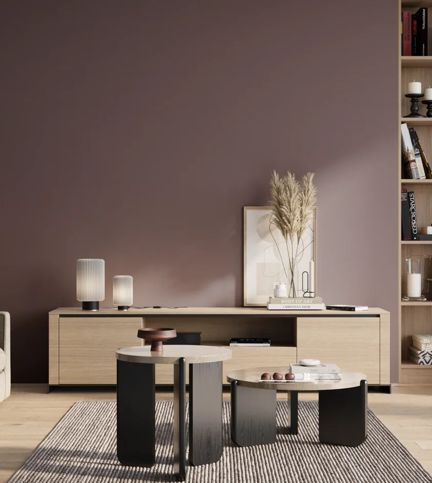 P10_SNIEZKA_salon_01_poranek_GREY_S6010-R30B