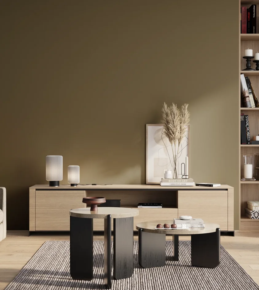 P10_SNIEZKA_salon_01_poranek_GREY_S6020-G90Y