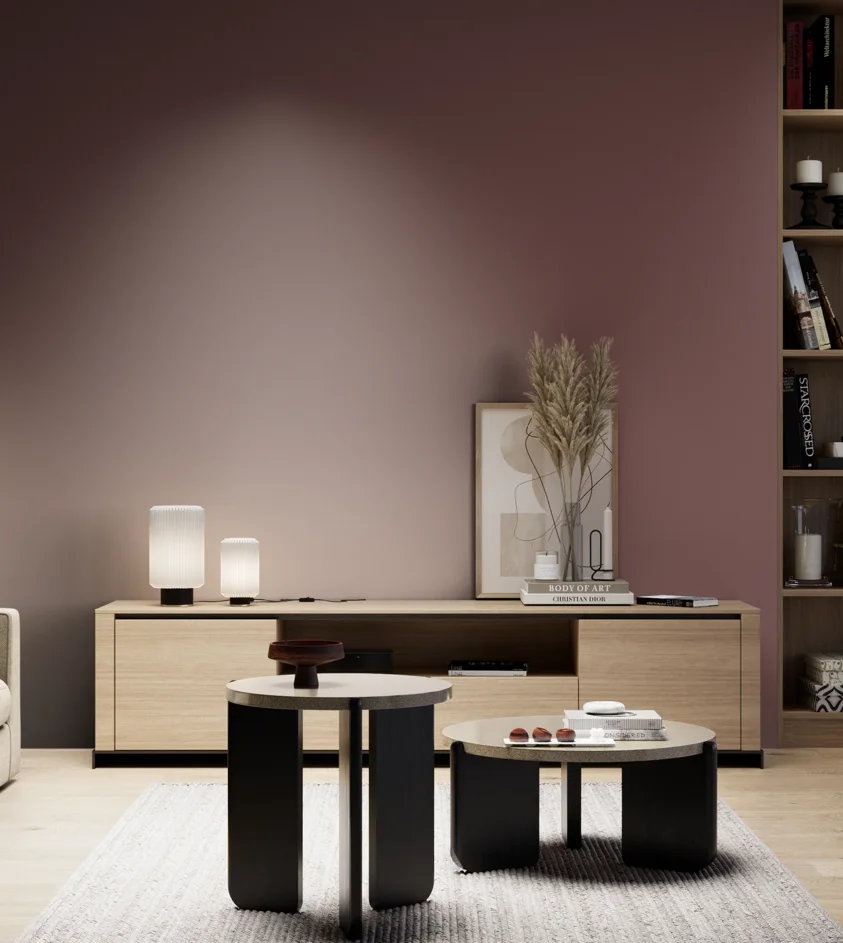P10_SNIEZKA_salon_05_zimne_GREY_S6020-R