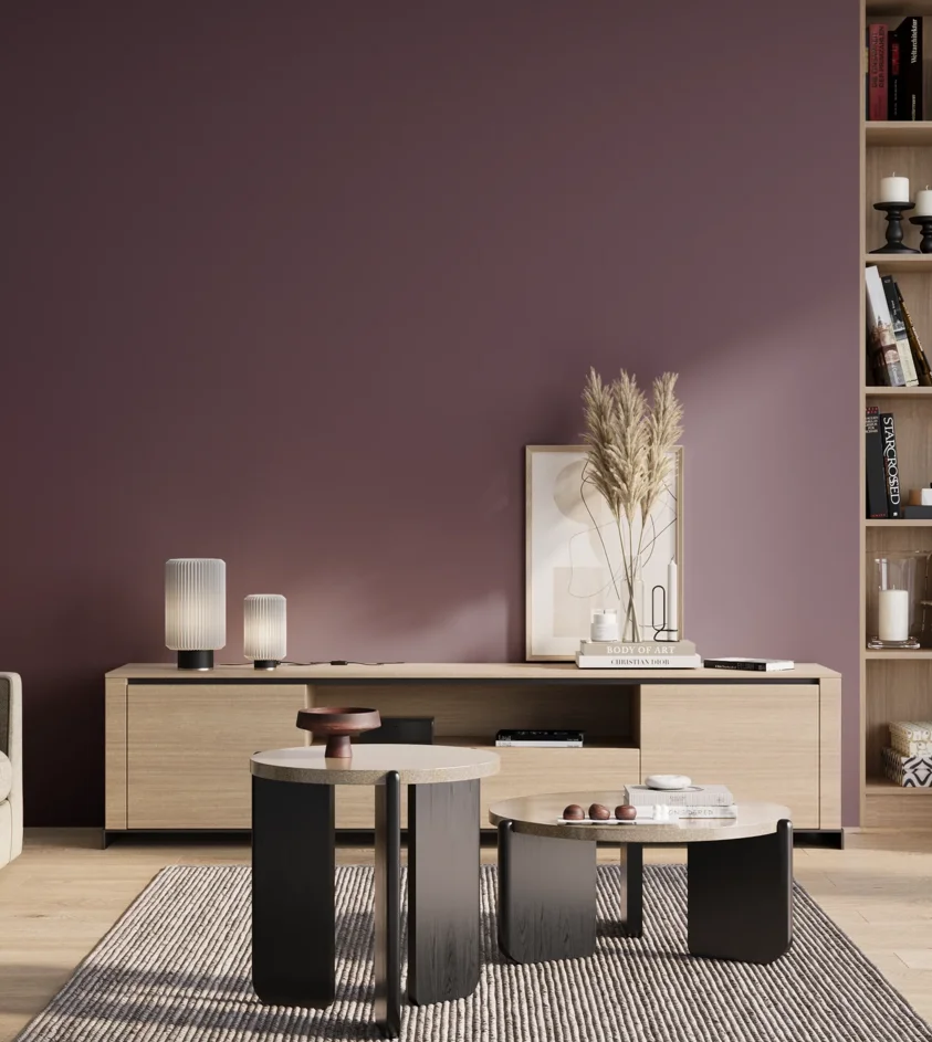 P10_SNIEZKA_salon_01_poranek_GREY_S6020-R40B