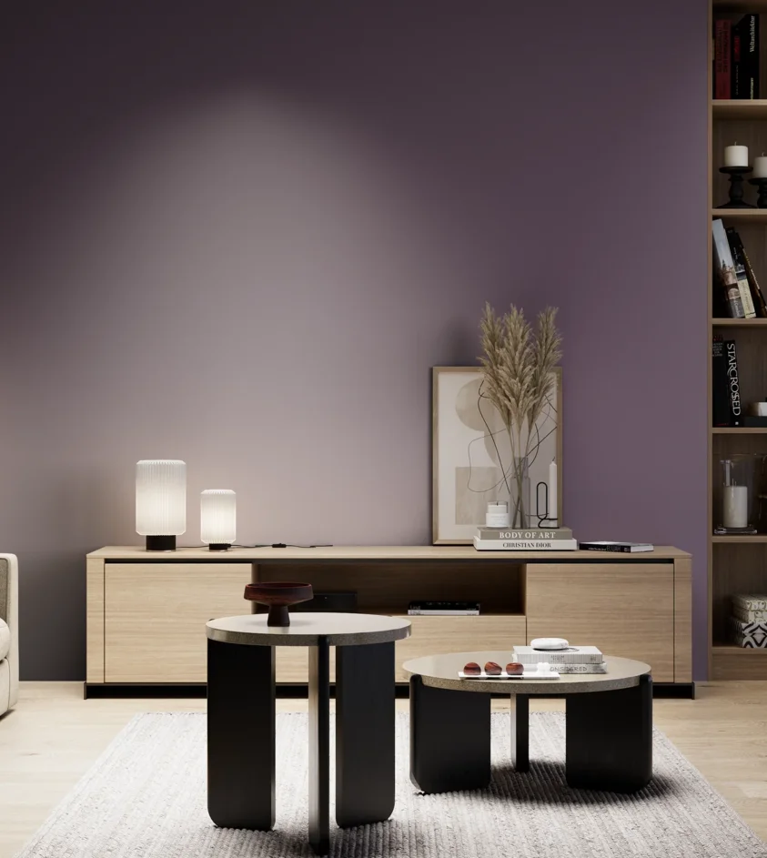 P10_SNIEZKA_salon_05_zimne_GREY_S6020-R50B