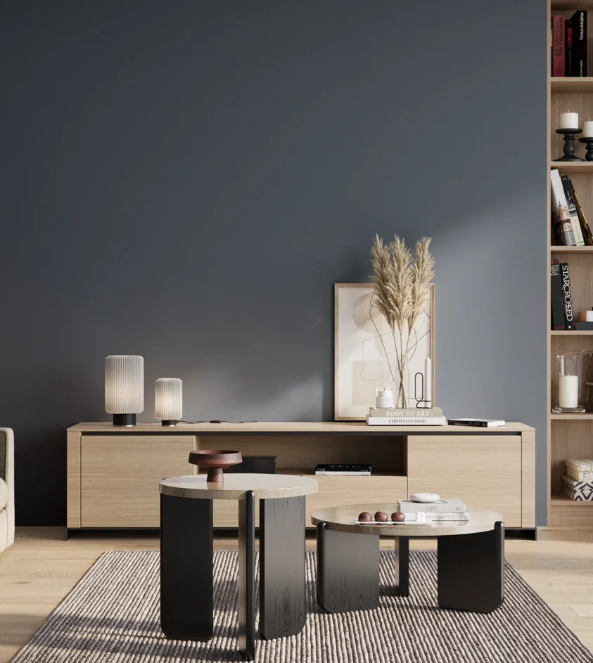 P10_SNIEZKA_salon_01_poranek_GREY_S6020-R90B