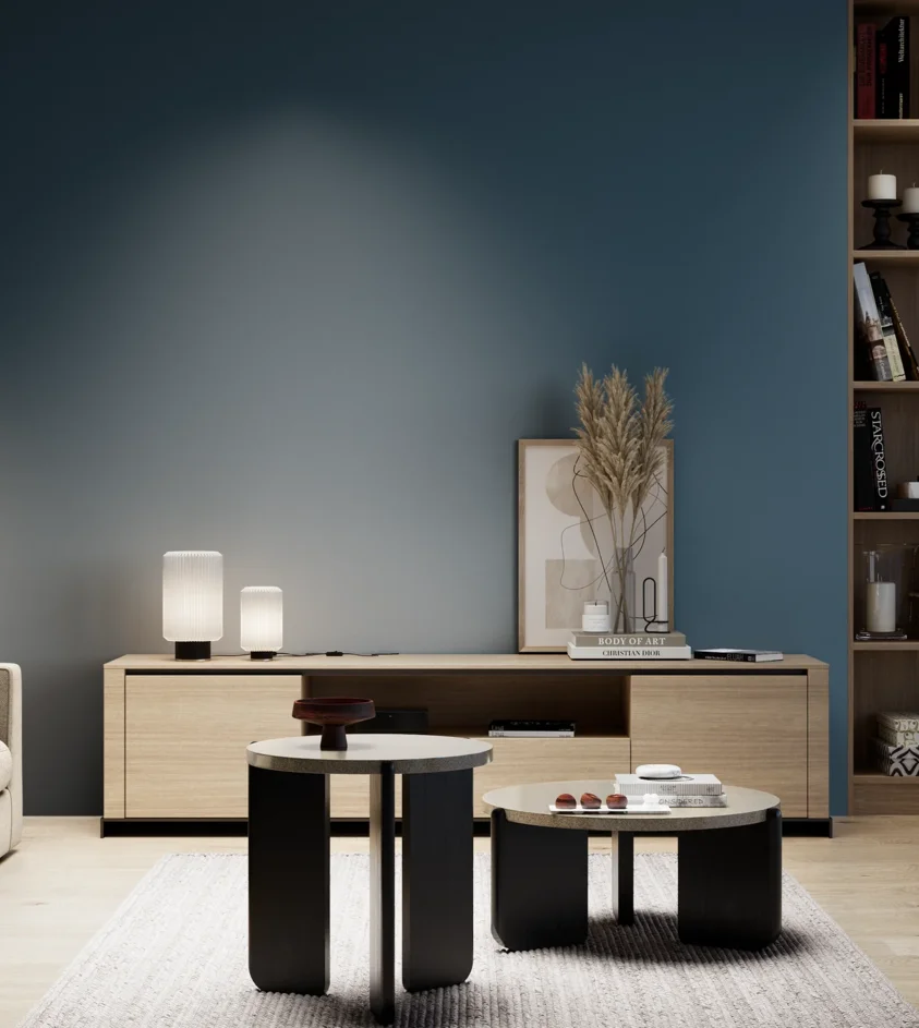 P10_SNIEZKA_salon_05_zimne_GREY_S6030-B