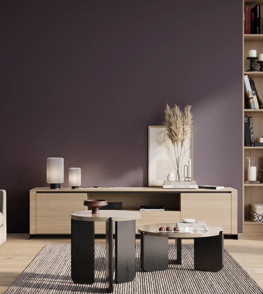 P10_SNIEZKA_salon_01_poranek_GREY_S7020-R60B