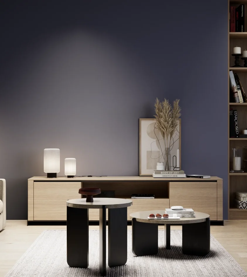 P10_SNIEZKA_salon_05_zimne_GREY_S7020-R70B