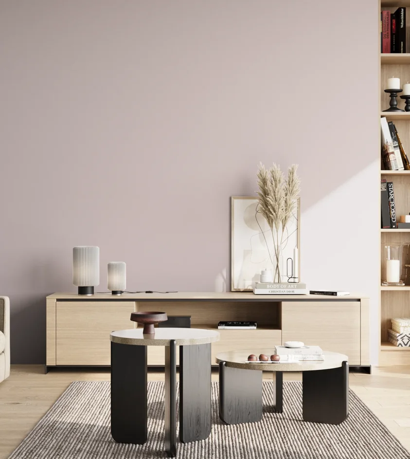 P10_SNIEZKA_salon_02_poludnie_GREY_S1505-R20B