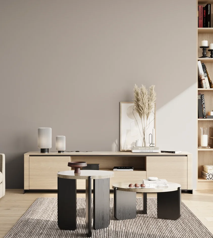 P10_SNIEZKA_salon_02_poludnie_GREY_S2502-Y80R