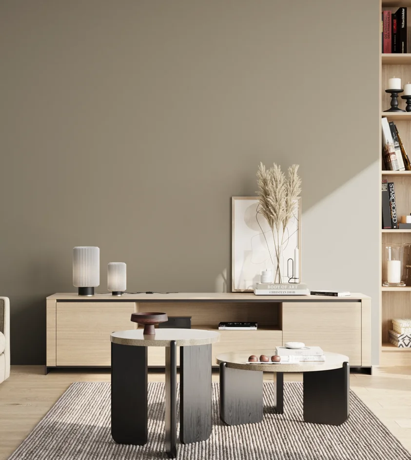 P10_SNIEZKA_salon_02_poludnie_GREY_S4005-Y