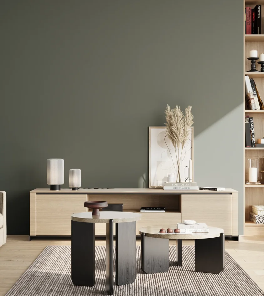 P10_SNIEZKA_salon_02_poludnie_GREY_S6005-G