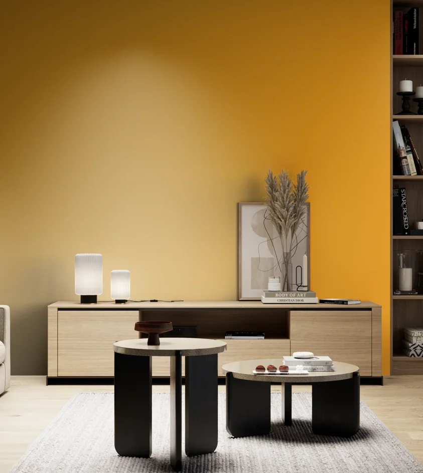P10_SNIEZKA_salon_05_zimne_GREY_RAL1003