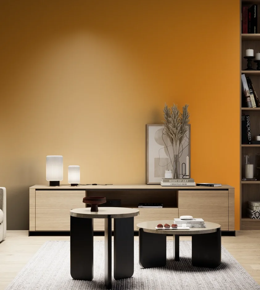 P10_SNIEZKA_salon_05_zimne_GREY_RAL1007