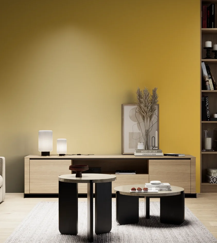 P10_SNIEZKA_salon_05_zimne_GREY_RAL1012
