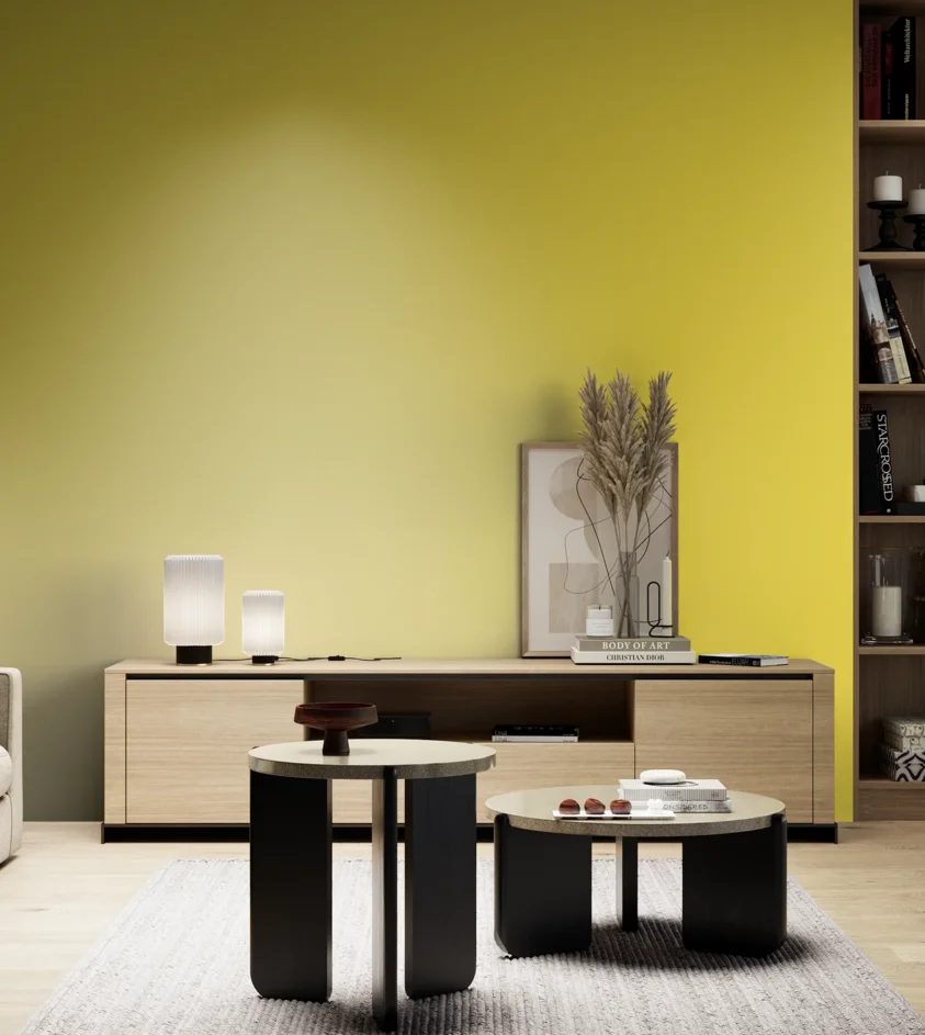 P10_SNIEZKA_salon_05_zimne_GREY_RAL1016